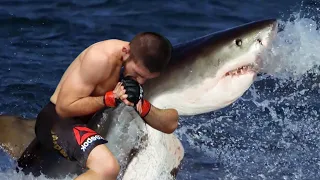 MEMES | The moment the shark realised Khabib would win