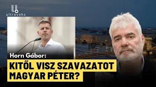 Magyar Péter: itt vannak a közvéleménykutatási adatok - Horn Gábor