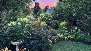 Early July Cottage Garden Tour 🌱🌸 || Silent Garden Tour 🤫 || BLOOMS 🌺🌸🌻