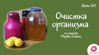 Очистка организма. Метод Марвы Оганян. День 00