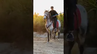 Horse Rider 🐴🐴💪💪 #tranding #viral #tiktok #shortvideo #shorts #youtubeshorts