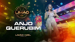 Anjo Querubim - Limão com Mel (DVD PRA SEMPRE LIMÃO)