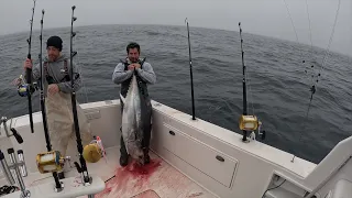 December Bluefin Tuna, From Zero To HERO