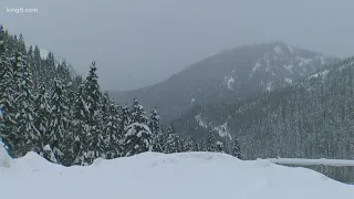 Avalanche warning for parts of Cascades, Stevens Pass as rain falls on unstable snow