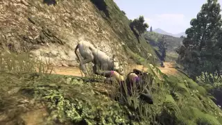 GTA 5 - Mountain Lion Attacks