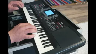 KORG Micro Arranger ( PA - 50 SD) стилі на весілля 2