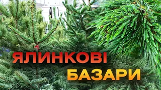 У Вінниці запрацювали ялинкові базари