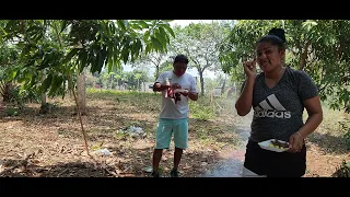 Comiendo Plateadas Fritas