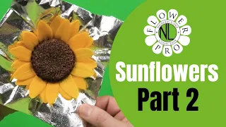 Flower Pro Sunflowers Part 2 | Making Sugar Petals