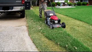 Rookie Sam cut this lawn a little too short | Customer still happy