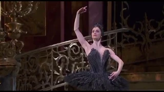 SWAN LAKE - Odile Variation (Marianela Núñez - Royal Ballet)