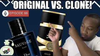 Lattafa Asad vs Dior Sauvage Elixar | Original vs Clone