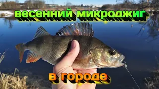 ВЕСЕННИЙ МИКРОДЖИГ. ЛОВЛЯ ОКУНЯ НА СПИННИНГ С БЕРЕГА. РЫБАЛКА В ГОРОДЕ.