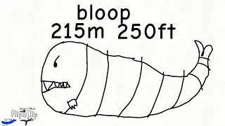 Sea monster size comparison