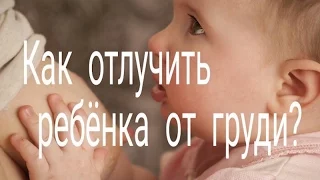 КАК ОТЛУЧИТЬ ОТ ГРУДИ?