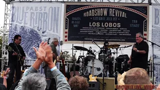 LOS LOBOS   WERE GONNA ROCK   roadshow revival