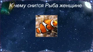 К чему снится Рыба женщине (Сонник)