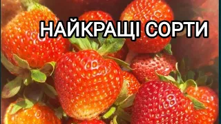 Огляд сортів полуниці (суниці). Найкращі сорти літні та ремонтантні #полуниця#суниця