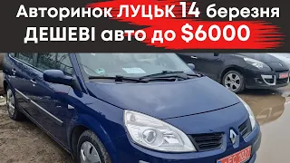 Бюджетні авто до $6000 на Луцькому авторинку 14 березня #авториноклуцьк