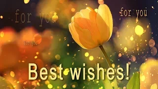 🌺🌺🌺 Best Wishes For You!  🌺🌺🌺 PARALLAX Video Greeting Cards