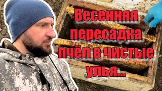 Ревизия. Гибель. Подкормка. Пересадка.