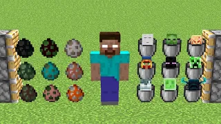 x1000 minecraft eggs and HEROBRINE and all mob buckets combined