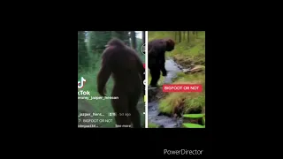 20 pictures of Bigfoot with commentary.  Ep. 12