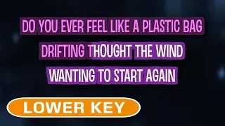 Firework (Karaoke Lower Key) - Katy Perry