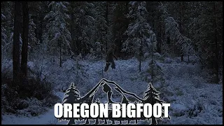 BIGFOOT FOUND Oregon Trail Cam Footage