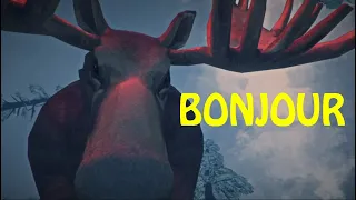 Trapper's Cabin moose - The Long Dark