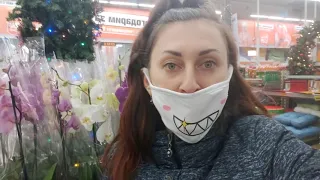 Орхидеи на погибель/Спонтанный Обзор ОРХИДЕЙ в OBI Краснодар