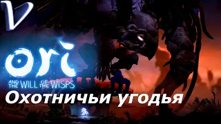 Ori and the Will of the Wisps 2K | 1440p ➤ Прохождение #14 ➤ ОХОТНИЧЬИ УГОДЬЯ