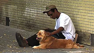 Olha a reação deste morador de rua ao oferecerem 2 mil reais pelo seu cão