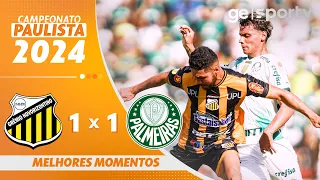 NOVORIZONTINO 1 X 1 PALMEIRAS | MELHORES MOMENTOS | CAMPEONATO PAULISTA 2024 | ge.globo