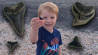 How to Find Shark Teeth on Florida's Southeast Coast Beaches! (Jupiter & Juno Beach)