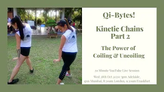 Qi-Bytes! Kinetic Chains Part 2