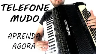 Telefone Mudo - Video Aula de Sanfona - Trio Parada Dura