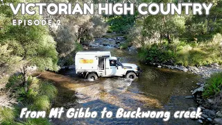 Victorian High Country | Buckwong Creek – We found a great camp spot!
