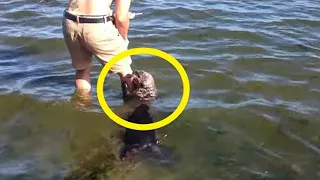 The guy entered the water and then something touched his leg. He almost went crazy!