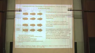 Теория эволюции. Марков А.В. Лекция 6. Часть 1.