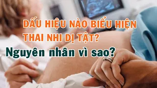 Dấu hiệu nào biểu hiện thai nhi bị dị tật? Nguyên nhân vì sao thai nhi lại có khả năng mắc dị tật?