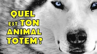 QUEL EST TON ANIMAL TOTEM?