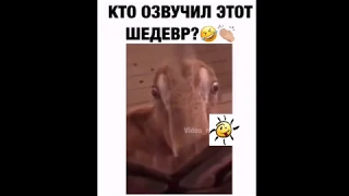 НОВЫЕ ВИДЕО ПРИКОЛЫ 2019, приколы до слез, смешные приколы, новые видео, новые приколы, лучшее видео