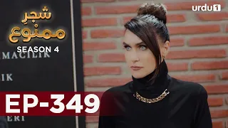 Shajar-e-Mamnu | Episode 349 | Turkish Drama  | Forbidden Fruit | Urdu Dubbing | 12 April 2022