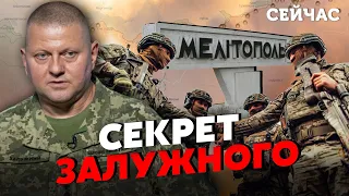 💥СВІТАН: Штурму Мелітополя НЕ БУДЕ! Залужний придумав ХИТРИЙ ПЛАН. Росіян ОБМАНУТЬ