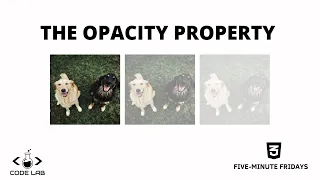 Learn CSS opacity in five minutes! | CSS Tutorial | Five-Minute Fridays