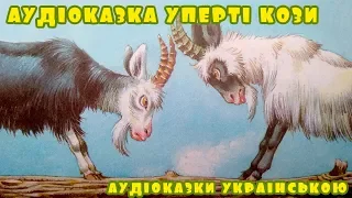 Аудіоказка Вперті кози | Слухати українські казки