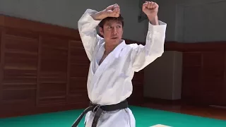 【Karate】How to use Heian Nidan in a Fight. (Tatsuya Naka JKA)