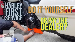 Harley Davidson First Service - Do it Yourself?