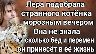 Лера и котёнок